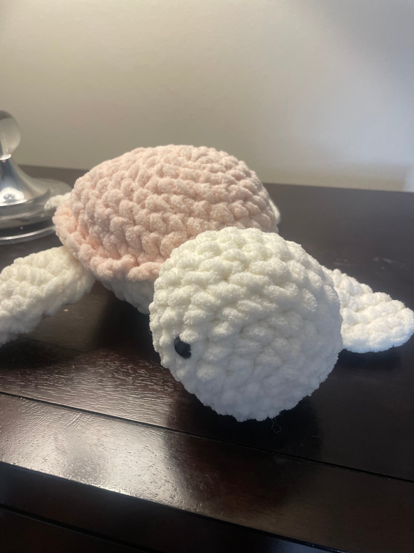 Sammy the Sea Turtle