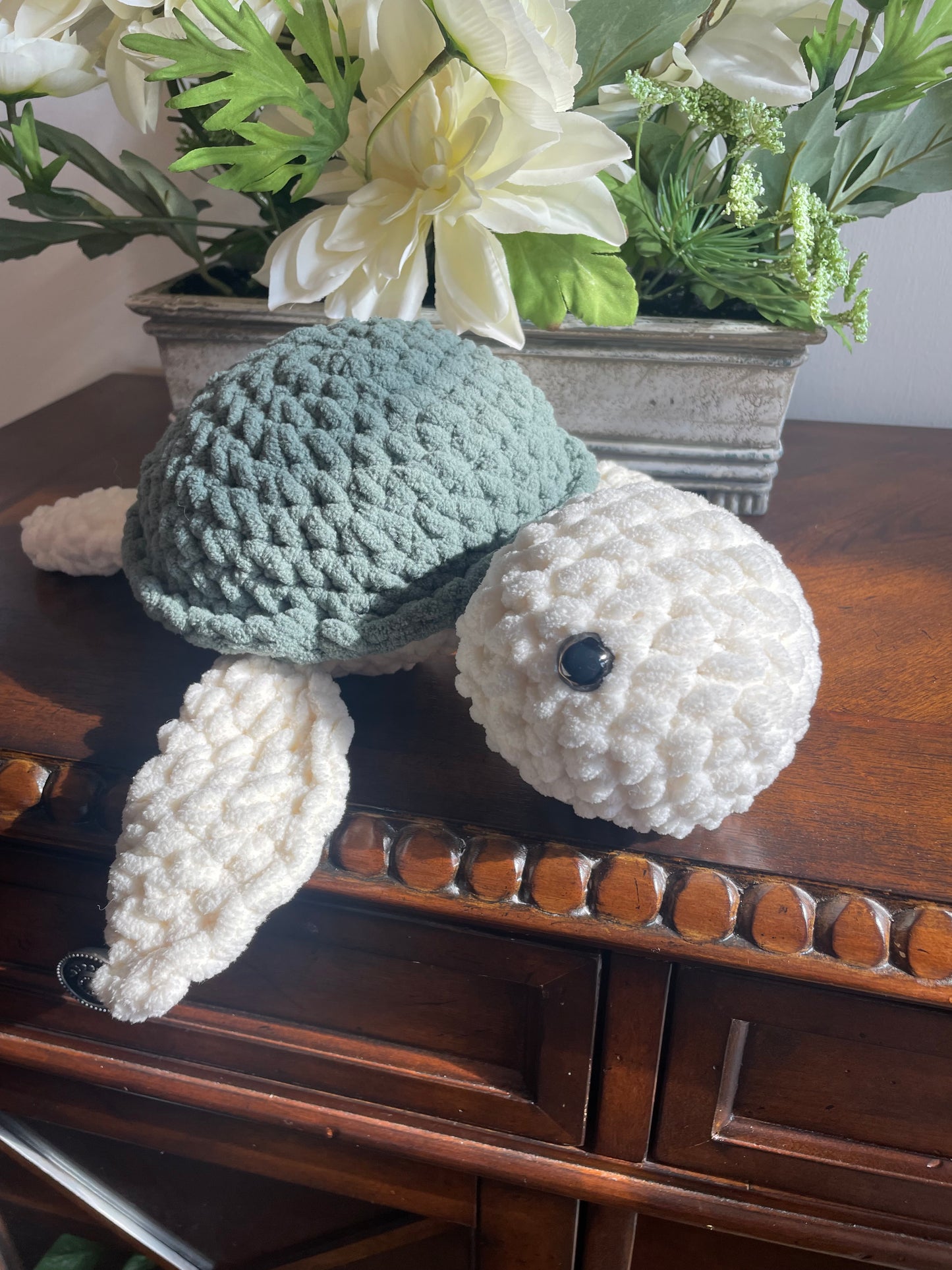 Sammy the Sea Turtle
